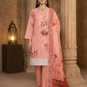 Rania’s Digital Lawn Schiffli 3-Piece Suit RNS-DLS-3P-910